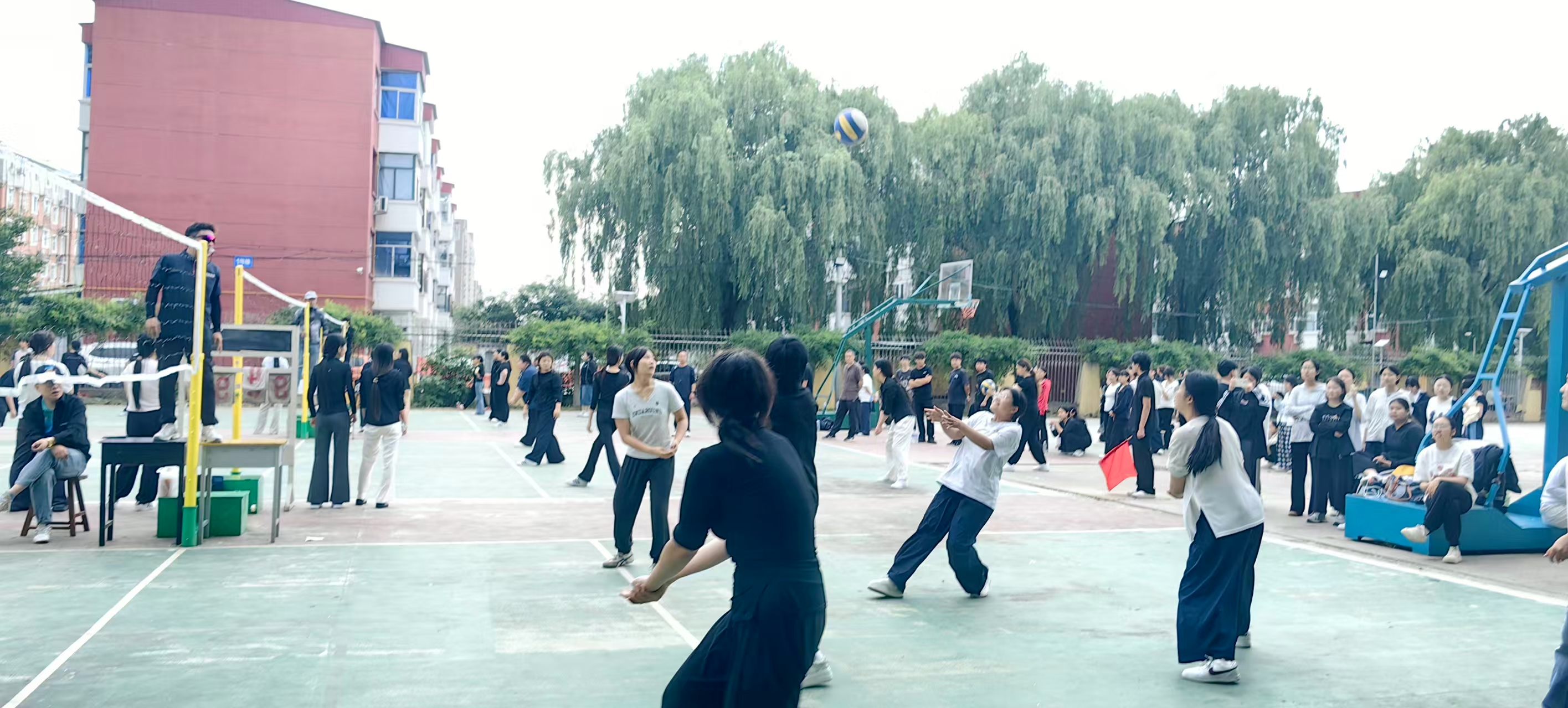 微信图片_20260611113744_68_187.jpg